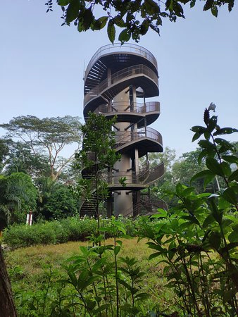 Chestnut Observation Tower